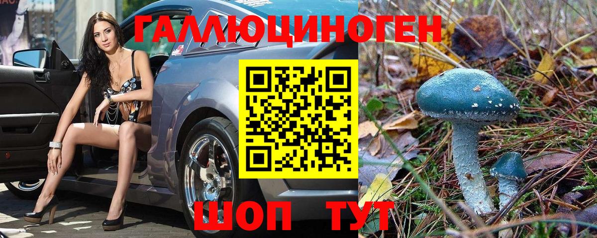 Псилоцибиновые грибы прущие грибы  Вход с VPN  Амурск 