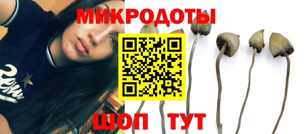 Псилоцибиновые грибы Magic Shrooms Амурск